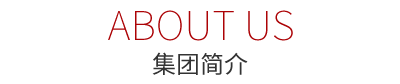 尊龙凯时人生就是搏集团简介